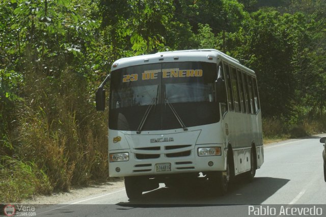 U.C. 23 de Enero 438 por Pablo Acevedo