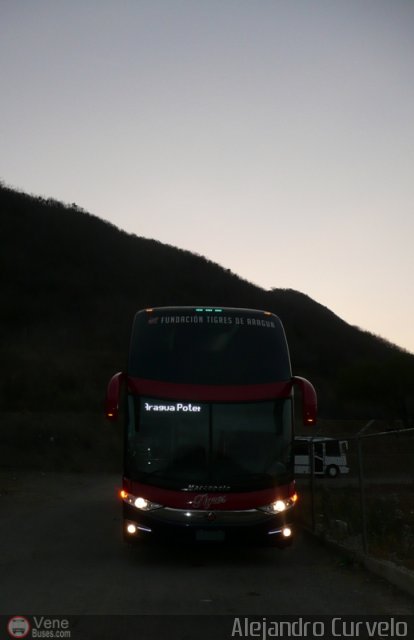 Tigres de Aragua B.B.C. 01 por Alejandro Curvelo