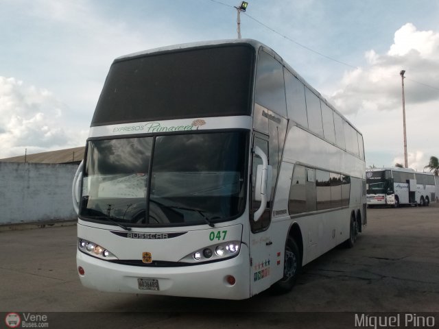 Expresos Primavera 047 por Miguel Pino