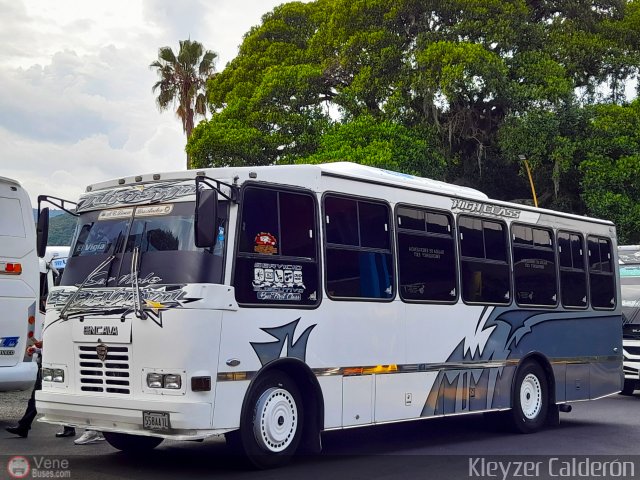 Lnea Los Andes S.C. 010 por Kleyzer Caldern