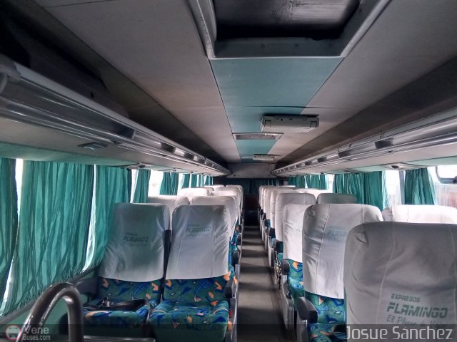 Expresos Flamingo 0141 por Josue S�nchez