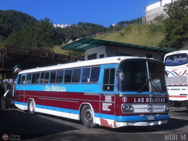 Transporte Las Delicias C.A. 01 por Waldir Mata
