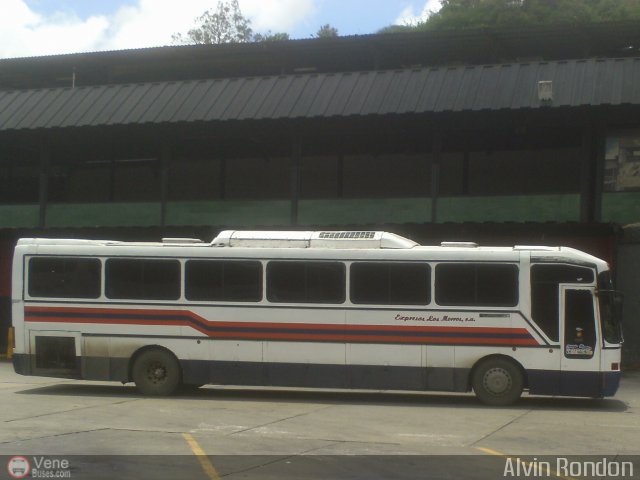 Expresos Los Morros 19 por Alvin Rond�n