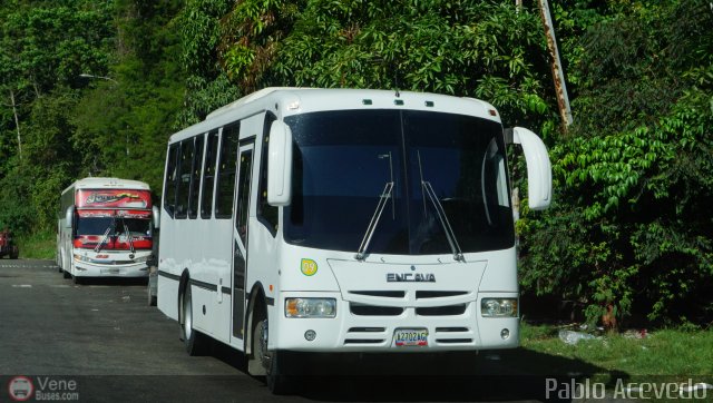 Servicios Turisticos y Transportes Ovoly 09 por Pablo Acevedo