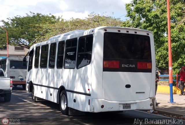 Particular o Desconocido 039 por Aly Baranauskas