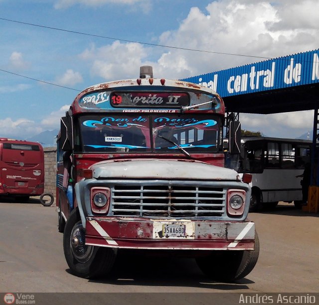 Transporte Palo Negro La Morita 2 019 por Andrs Ascanio