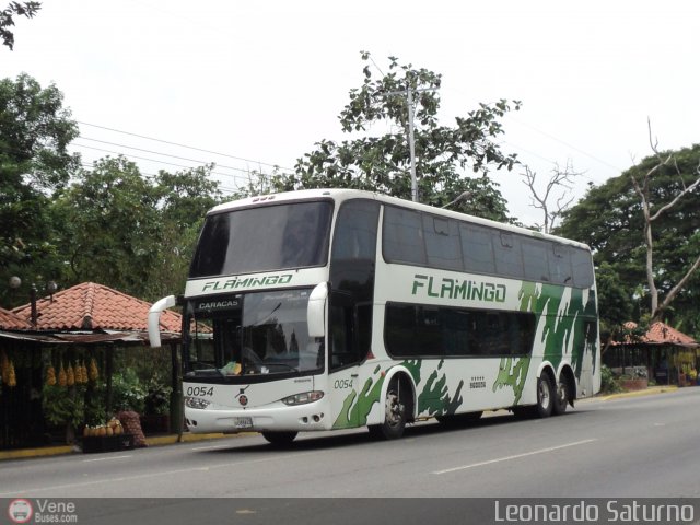 Expresos Flamingo 0054 por Leonardo Saturno