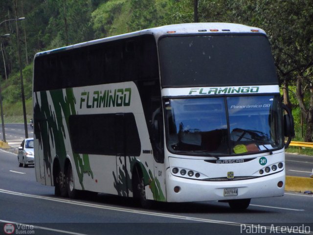 Expresos Flamingo 0241 por Pablo Acevedo