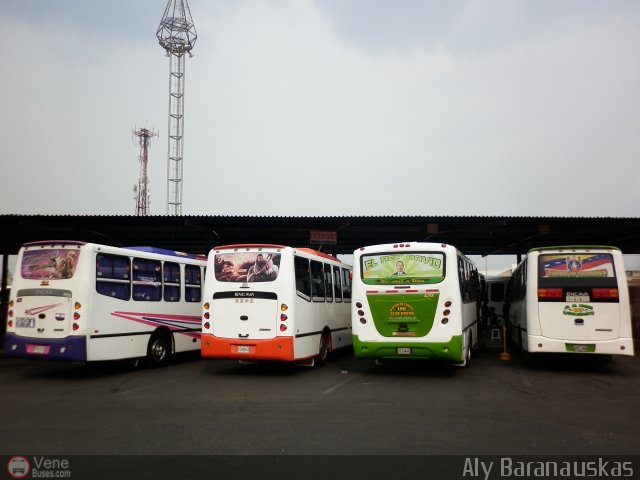 Garajes Paradas y Terminales San Diego por Aly Baranauskas