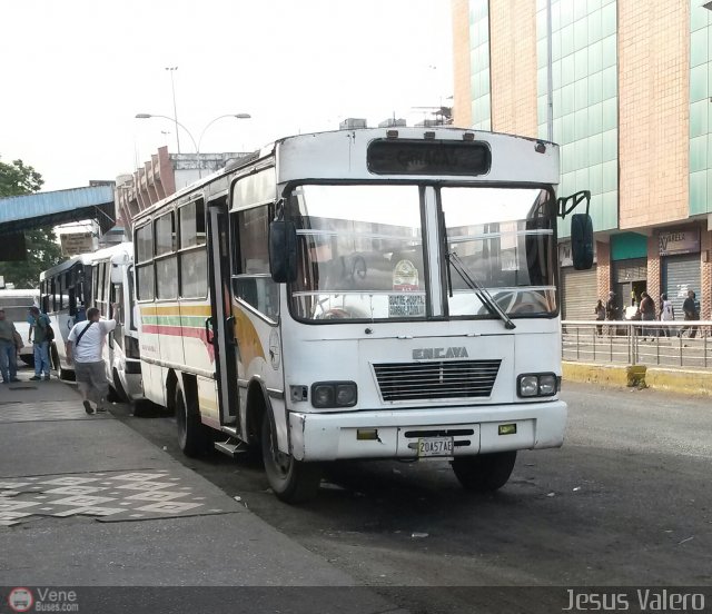 MI - L�nea Terepaima 113 por Jes�s Valero