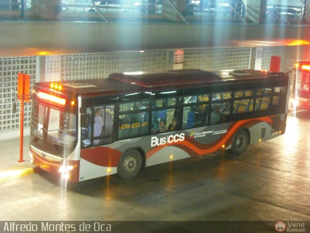Bus CCS 1305 por Alfredo Montes de Oca