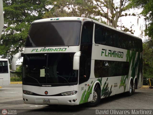 Expresos Flamingo 0141 por David Olivares Martinez