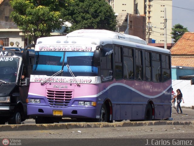 U.C. Falc�n Zulia 04 por J. Carlos G�mez