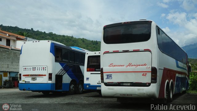 Expresos Horizonte 42 por Pablo Acevedo