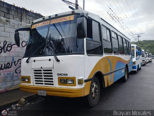 TA - A.C. L�nea Intercomunal 38 por Jerson Nova