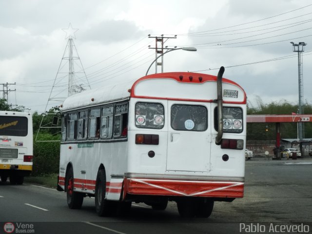 CA - Unin Campo Carabobo 111 por Pablo Acevedo