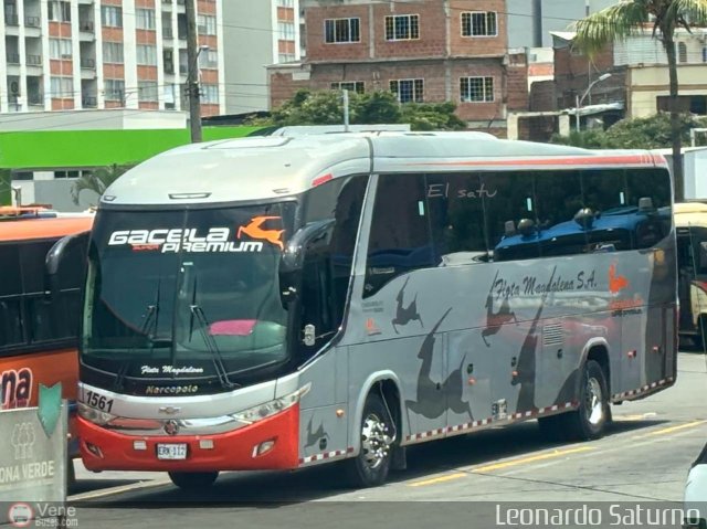 Flota Magdalena S.A. 1561 por Leonardo Saturno