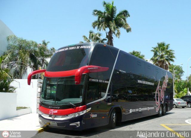 Tigres de Aragua B.B.C. 01 por Alejandro Curvelo