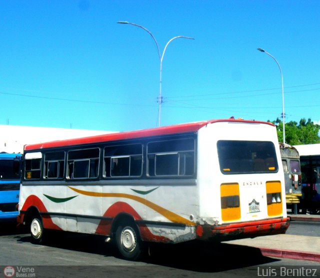 U.C. Tataracual 05 por Luis Ben�tez