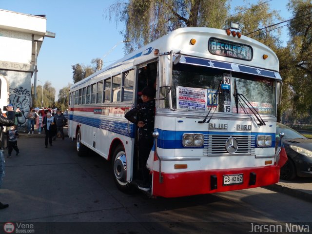 Micros Amarillas JN52 por Jerson Nova