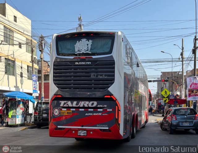 Grupo Laes 480 por Leonardo Saturno