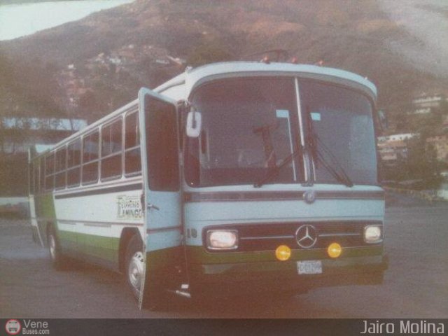 Expresos Flamingo 18 por Juan De Ascen��o