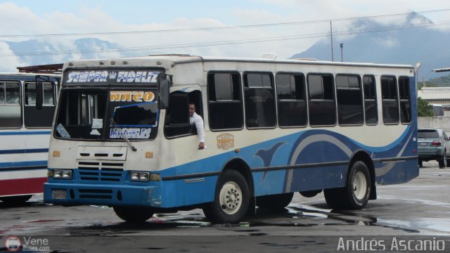 A.C. de Transporte Sol de Tamanaco 36 por Andrs Ascanio