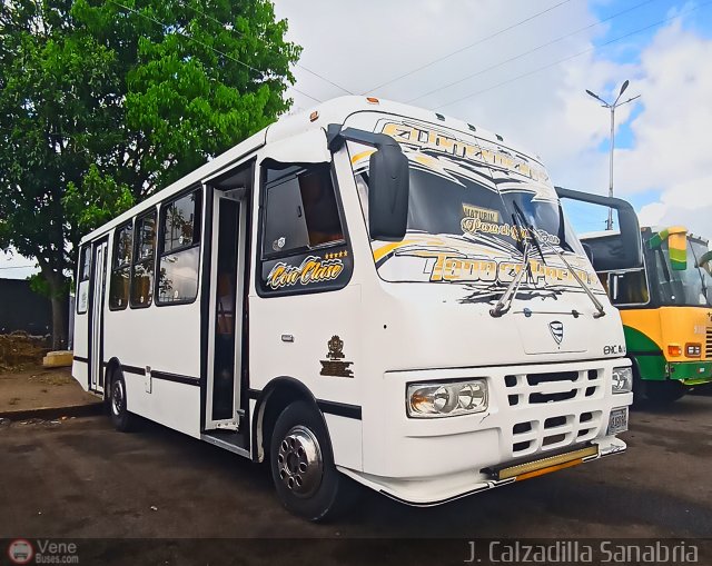 Grupo de Transporte Los Intendentes 020 por Jos�as Calzadilla