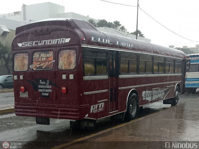 Particular NO USAR M�S Ni�obus por �ngel Delgado