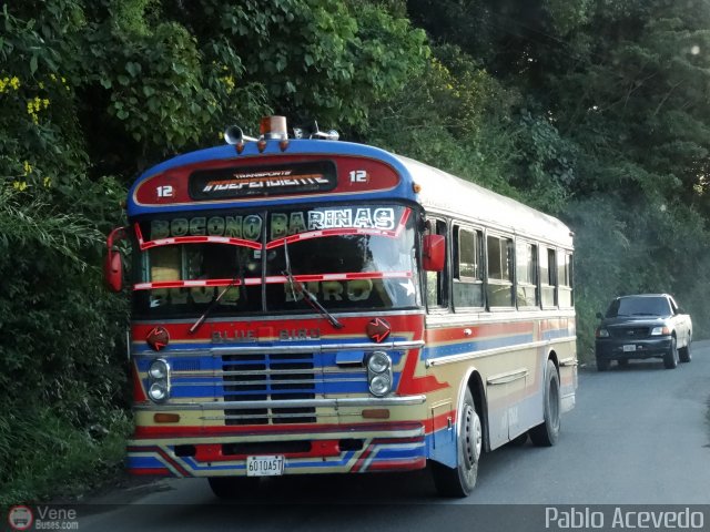 A.C. Transporte Independiente 12 por Pablo Acevedo