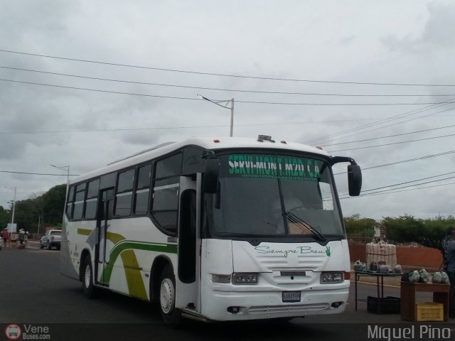 Servi Mont M2D C.A 002 por Miguel Pino