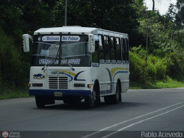 TA - A.C. Brisas del Palmar 08 por Pablo Acevedo