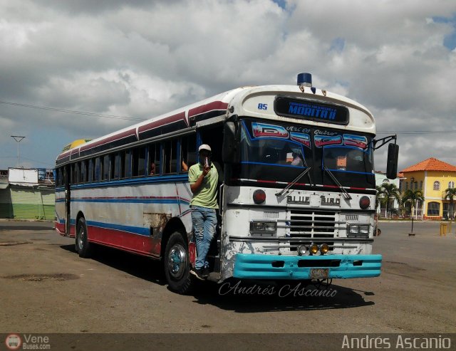 Transporte Palo Negro La Morita 2 085 por Andrs Ascanio