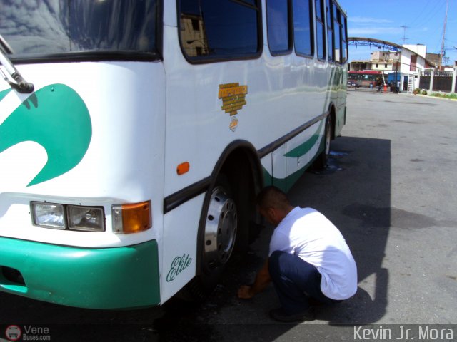 Profesionales del Transporte de Pasajeros Garrapata por Kevin Mora