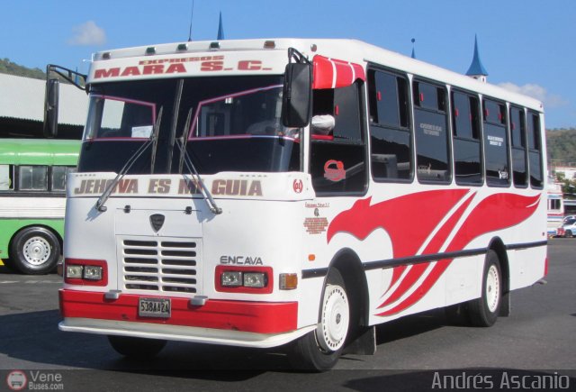 S.C. Expresos Mara 001 por Andrs Ascanio