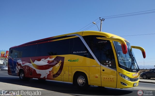 Buses Carvajal Bugue�o 01 por Eduard Delgado