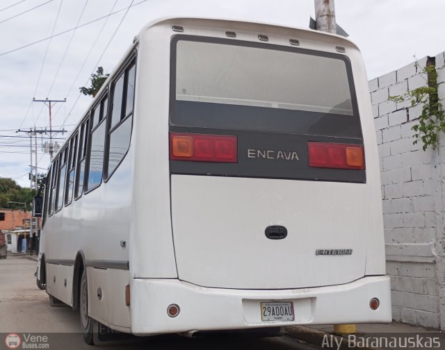 Particular NO USAR M�S 2900 por Aly Baranauskas