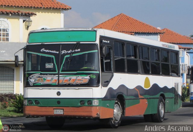 AR - Cooperativa La Pedrera 56 por Andr�s Ascanio