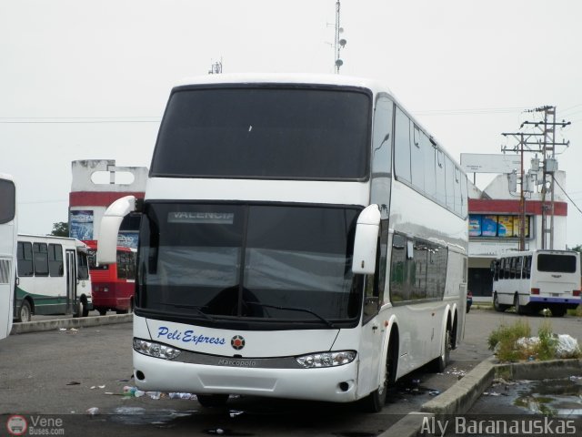 Peli Express 0063 por Aly Baranauskas