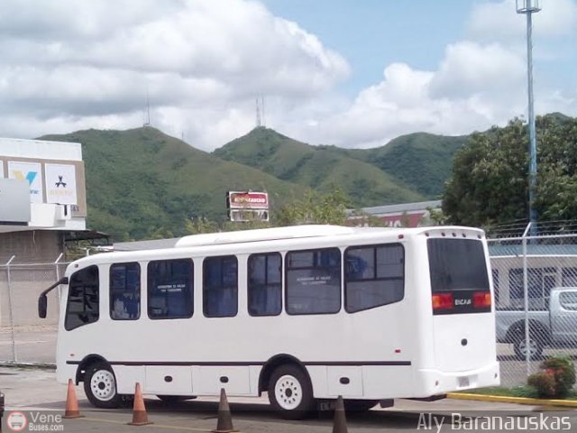 Transporte Virgen del Carmen 35 por Aly Baranauskas