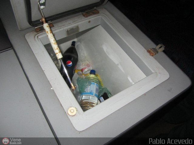 Expresos Flamingo 0115 por Pablo Acevedo