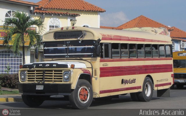 Transporte Palo Negro La Morita 2 003 por Andrs Ascanio