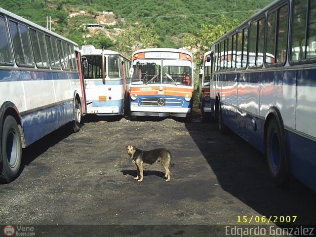 DC - Autobuses de Antimano 060 por Edgardo Gonzlez