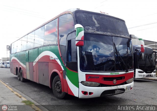 Expresos Pegamar 3001 por Andr�s Ascanio