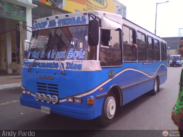 CA - Asociaci�n Coop. El Trigal R.L. 11 por Andy Pardo