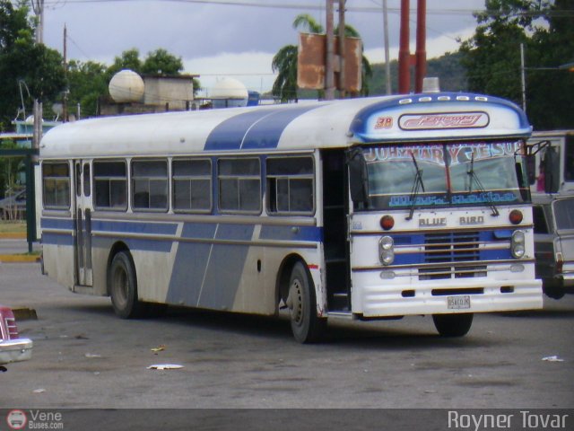 Transporte Taes 38 por Royner Tovar