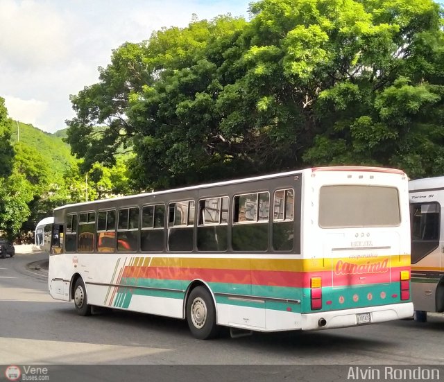 Cooperativa Canaima 10 por Alvin Rondn