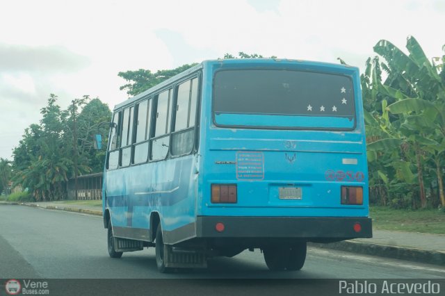 Particular o Desconocido 07 por Pablo Acevedo