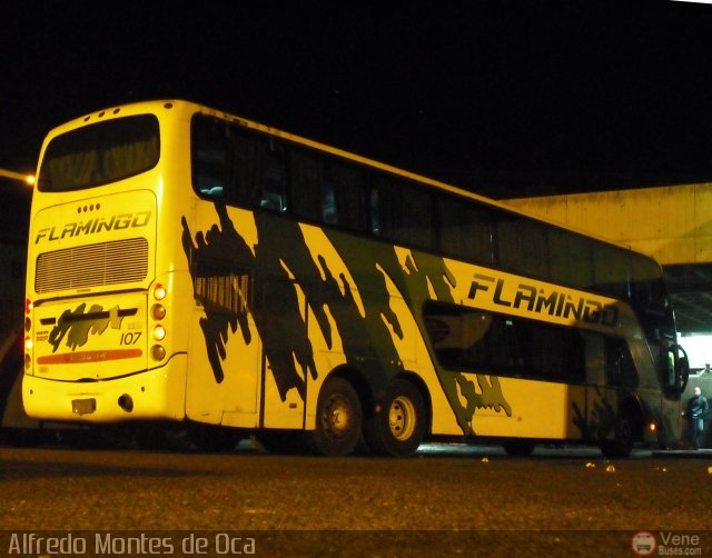 Expresos Flamingo 0107 por Alfredo Montes de Oca