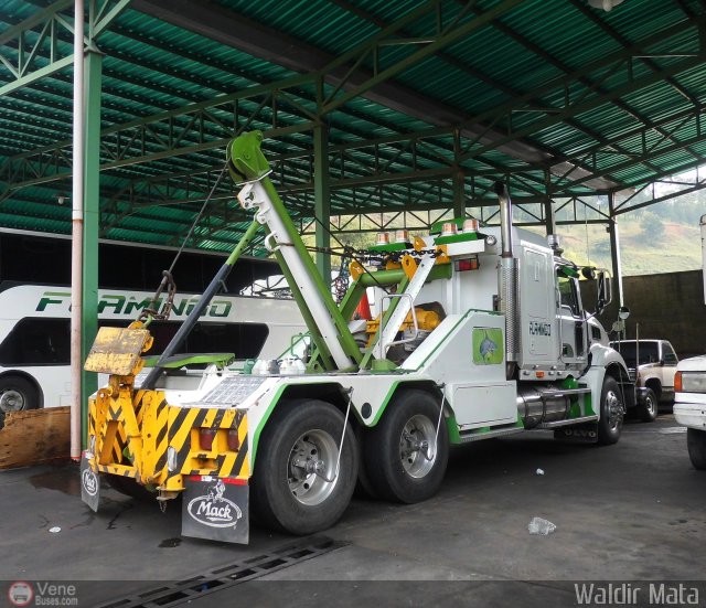 Expresos Flamingo Grua por Waldir Mata